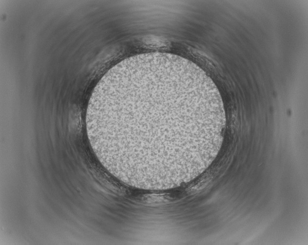 X0000066930320200604211731
