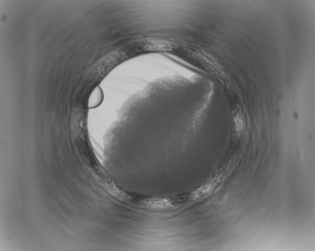 X0000066930322200604211731