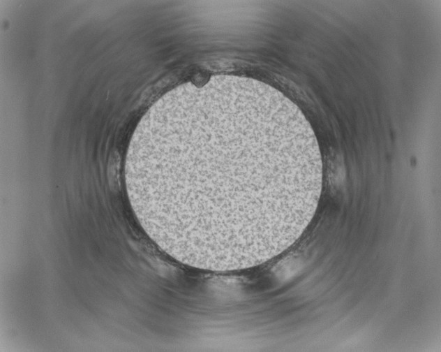 X0000066930332200604211731
