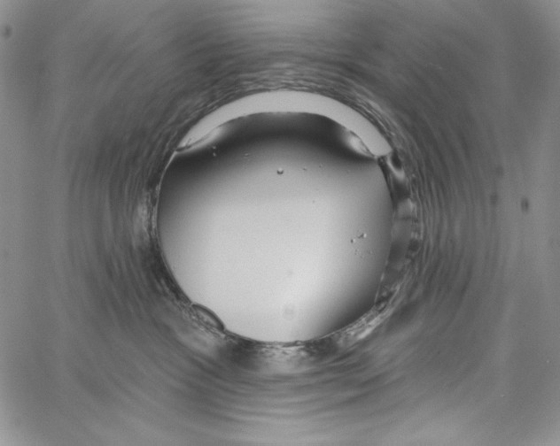 X0000066930333200604211731