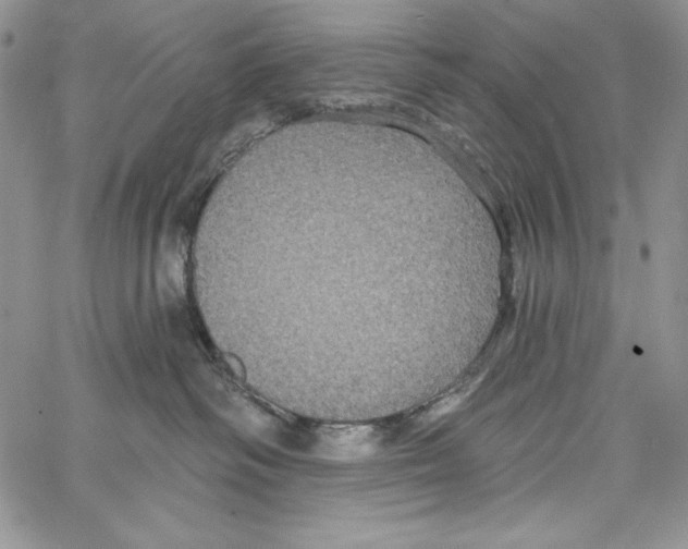 X0000066930334200604211731