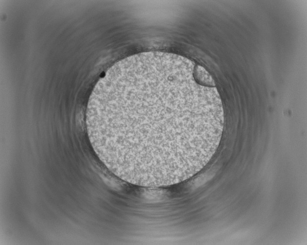 X0000066930336200604211731