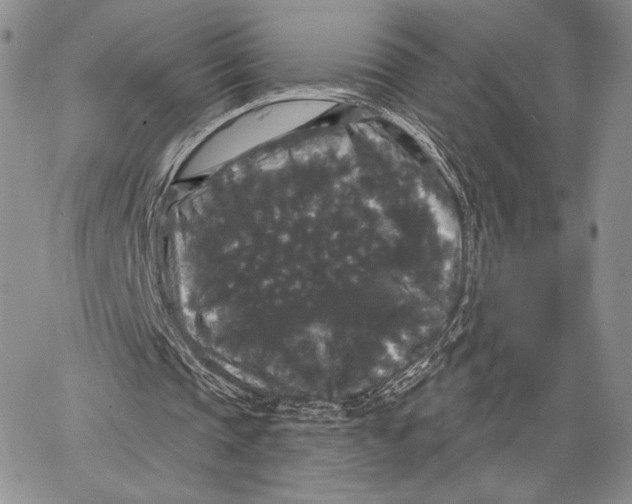 X0000066930337200604211730