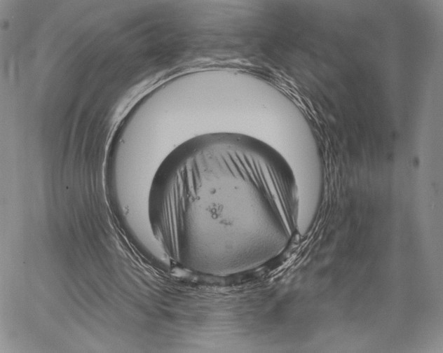 X0000066930340200604211730