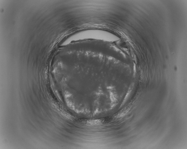 X0000066930357200604211730