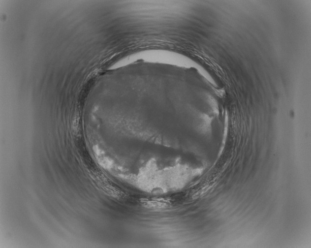 X0000066930359200604211730