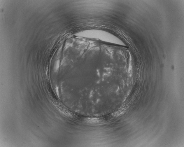 X0000066930361200604211730