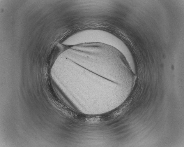 X0000066930362200604211730