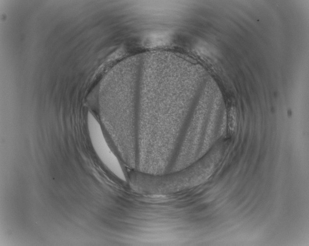 X0000066930380200604211731