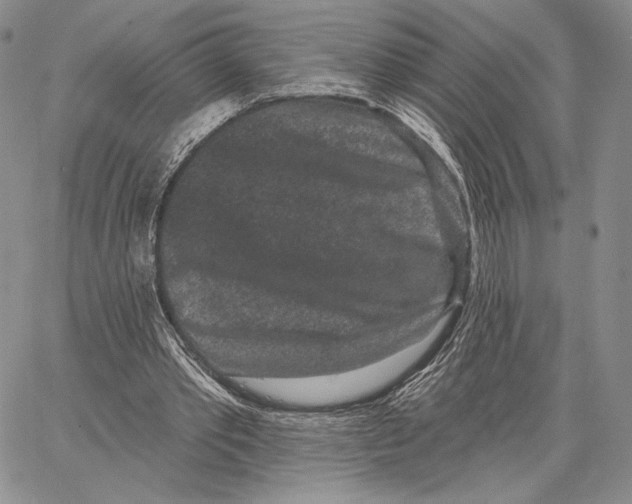 X0000066930389200604211730