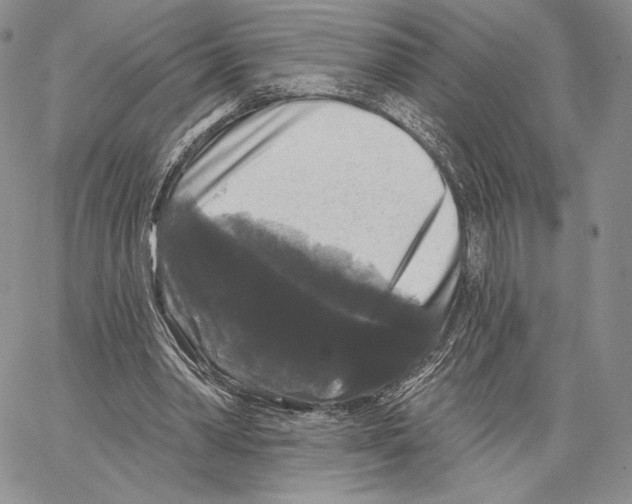 X0000066930390200604211730