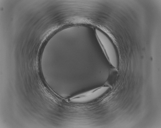 X0000066930391200604211730
