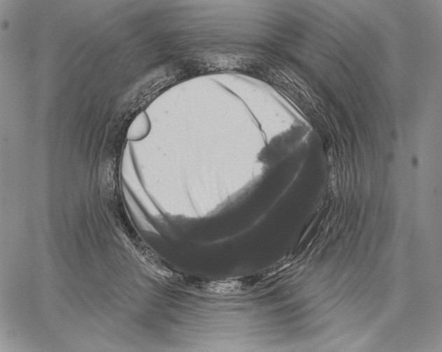 X0000066930410200604211729