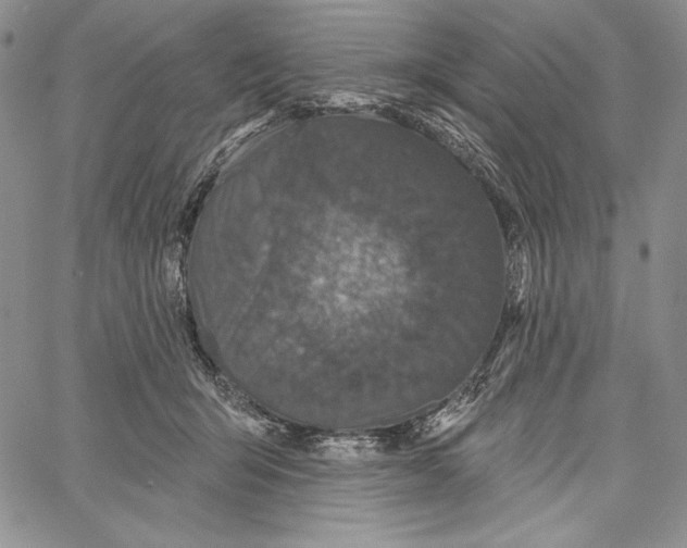 X0000066930415200604211729