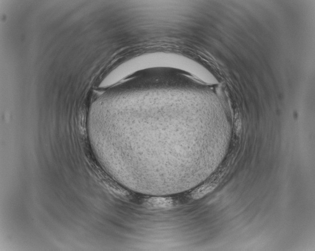 X0000066930421200604211729