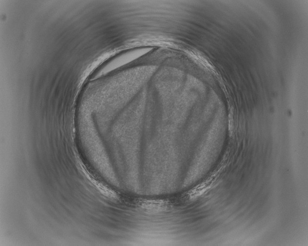 X0000066930438200604211728