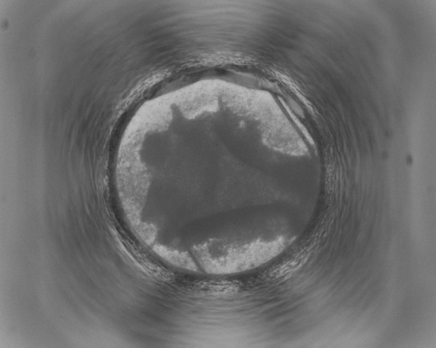 X0000066930443200604211728