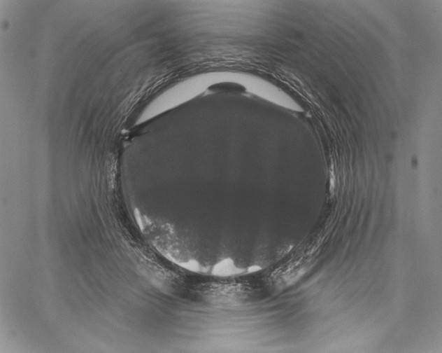 X0000066930458200604211729
