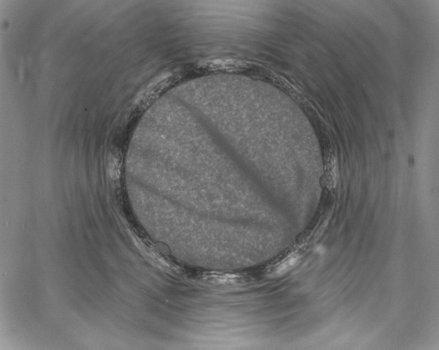 X0000066930472200604211729
