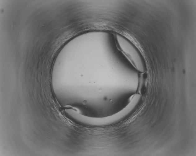X0000066930481200604211728