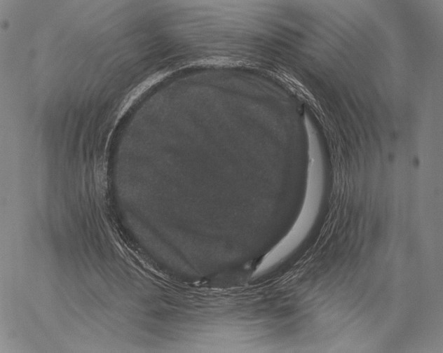 X0000066930484200604211728