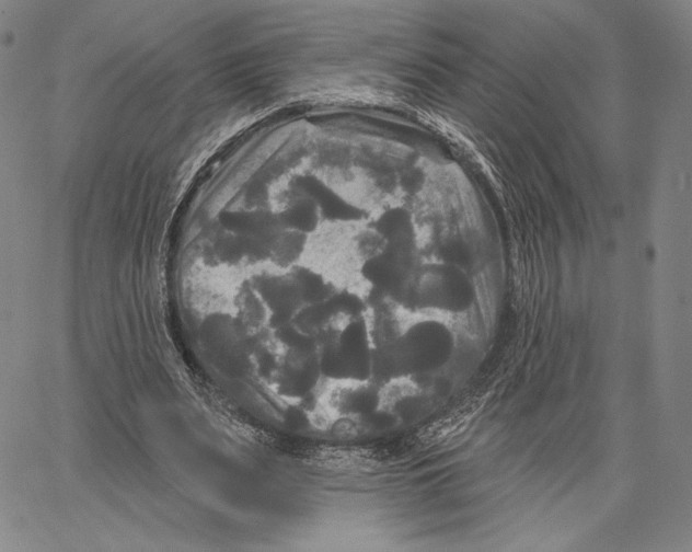 X0000066930487200604211728