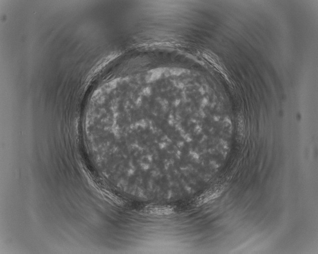 X0000066930491200604211728