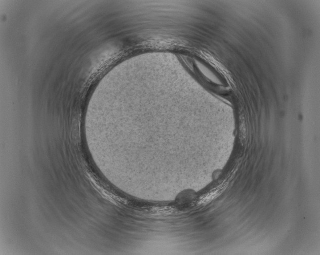 X0000066930493200604211728