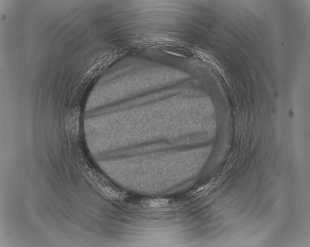 X0000066930501200604211728