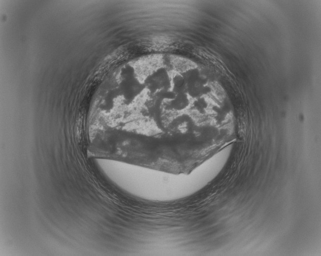 X0000066930503200604211728