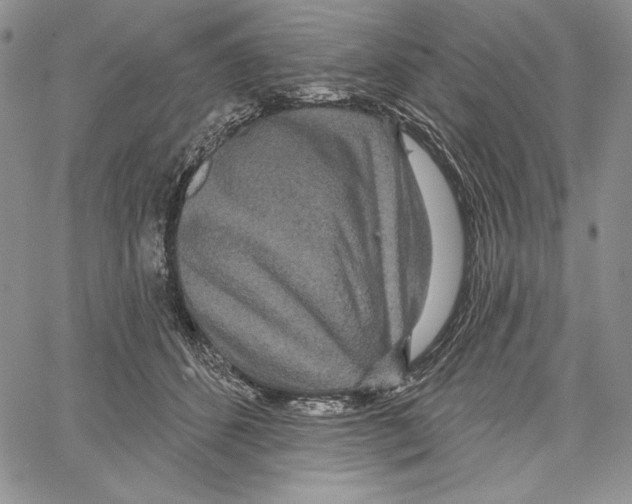 X0000066930512200604211728