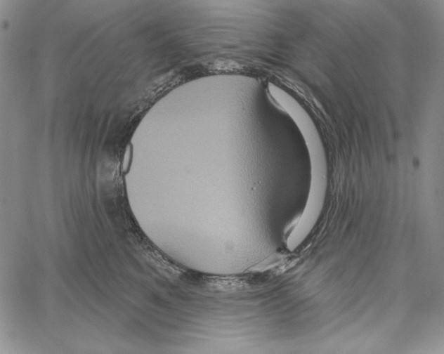 X0000066930521200604211727