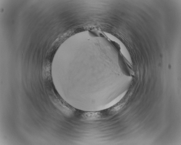 X0000066930526200604211727