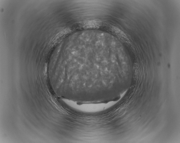 X0000066930550200604211727