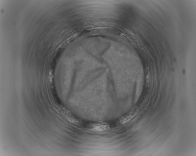 X0000066930555200604211727