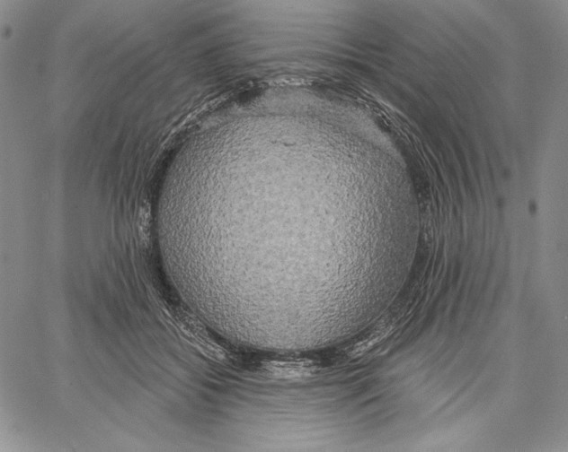 X0000066930556200604211727