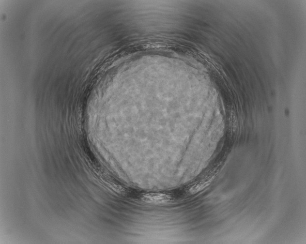 X0000066930557200604211727