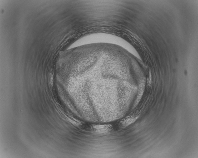 X0000066930558200604211727