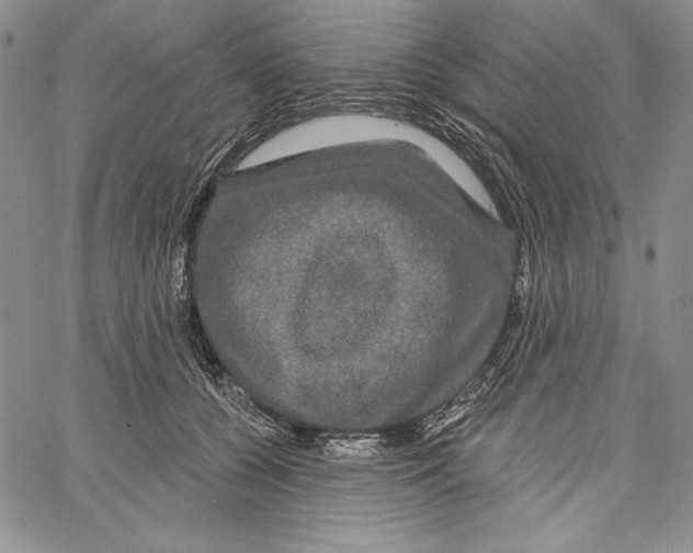 X0000066930560200604211727