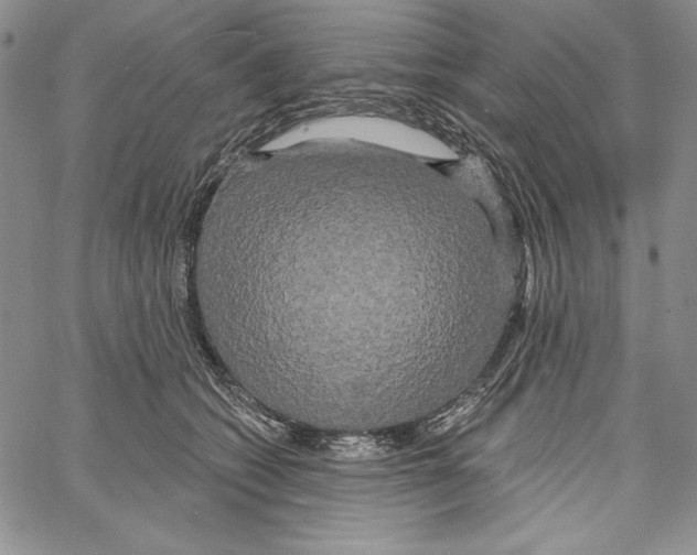 X0000066930562200604211727
