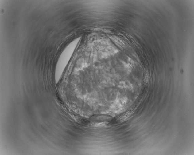 X0000066930569200604211727