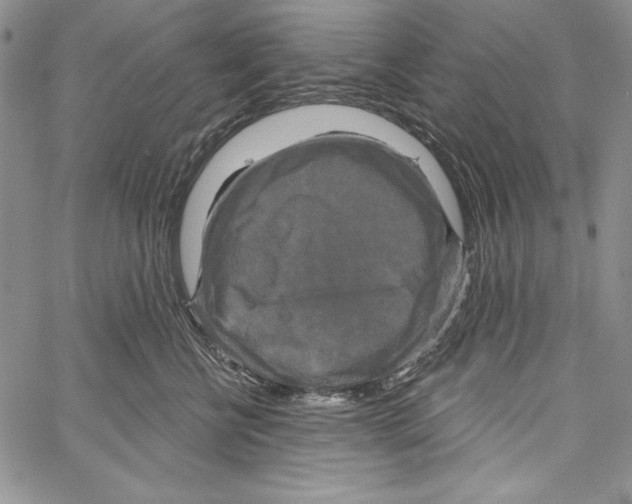 X0000066930570200604211727