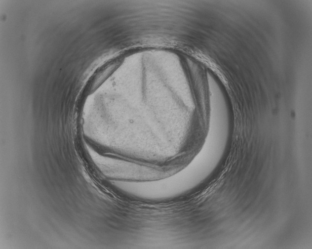 X0000066930580200604211727