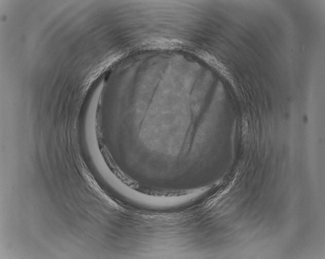 X0000066930581200604211727