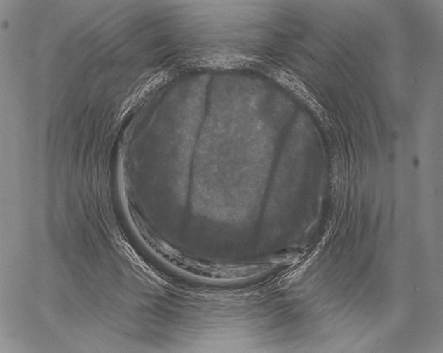 X0000066930585200604211726