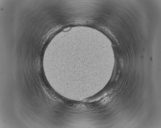 X0000066930588200604211726