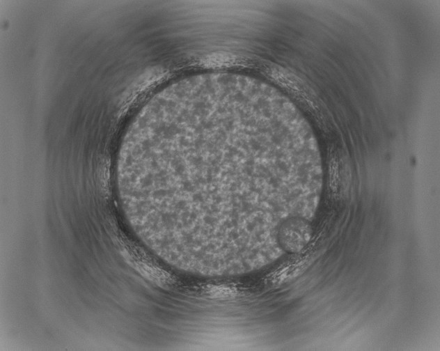 X0000066930592200604211726