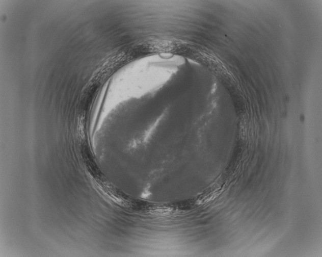 X0000066930598200604211726