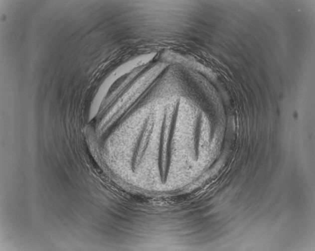 X0000066930608200604211726