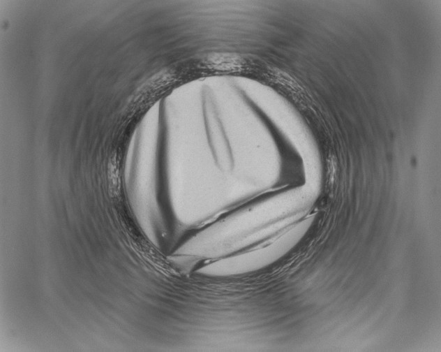 X0000066930609200604211726